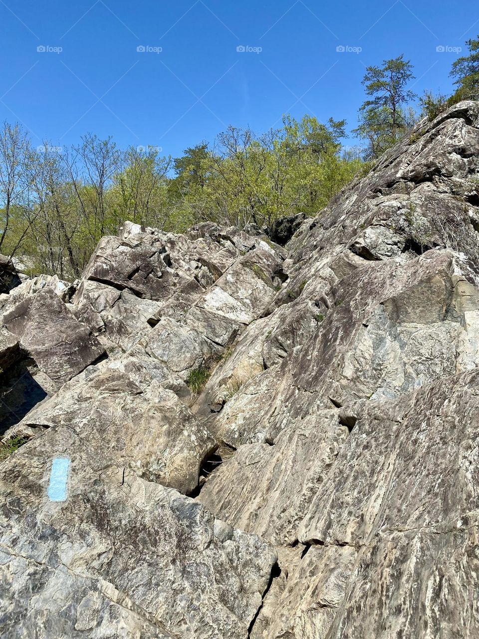 A blue blazed hiking trail going up a rock face