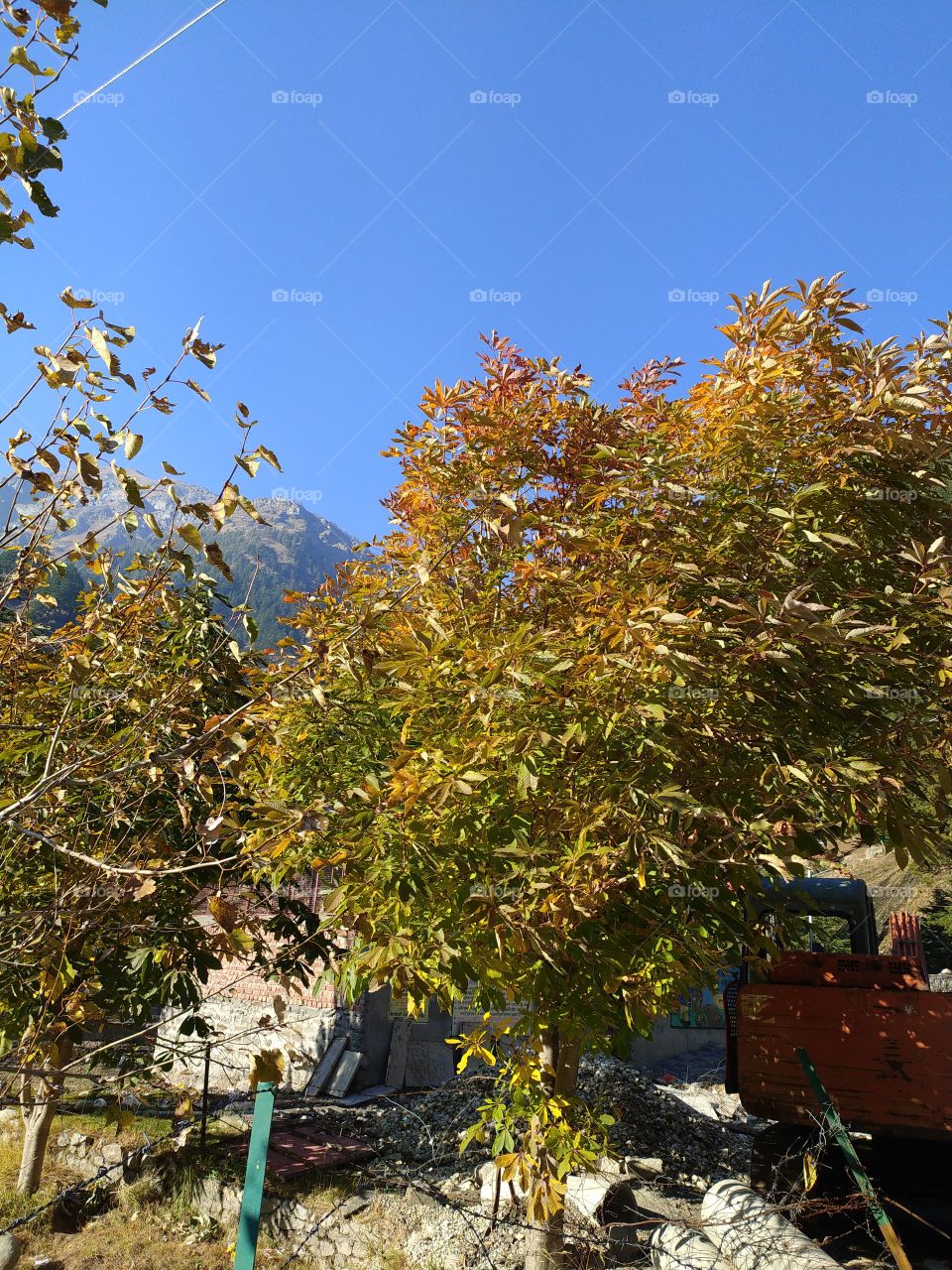 Wonderful view of natural beauty en route to Gangotri in the great Himalayas