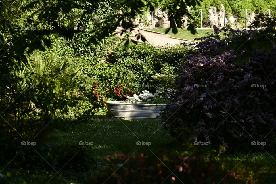 Colores Primaverales
Spring Colors