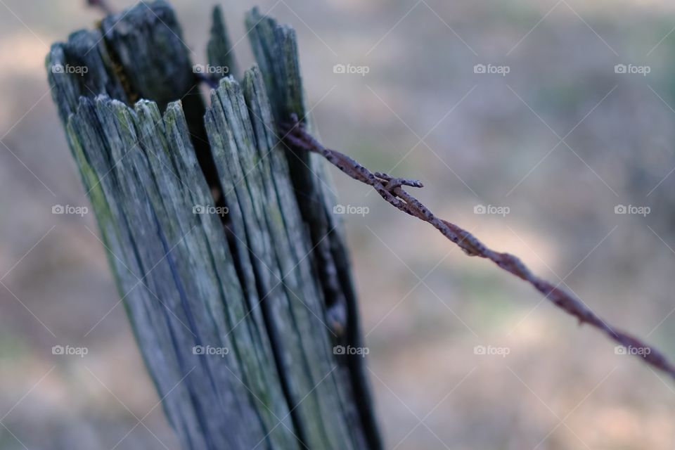 Old ranch barbed wire fence and post