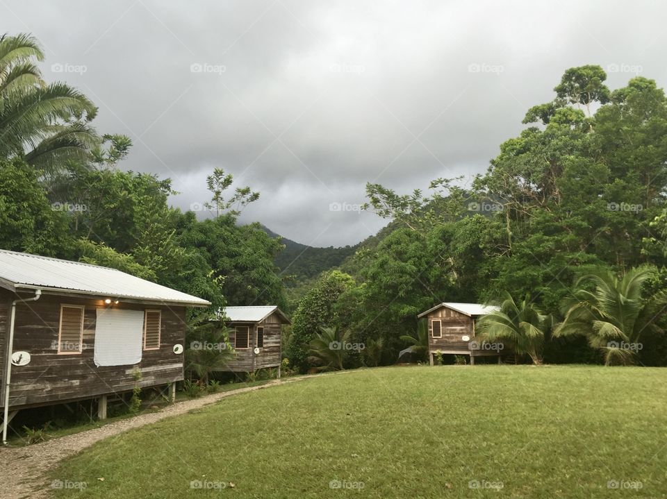 Several cabins on the border between a field and Belizean jungle with fog covered mountains in the background. This photo was taken at trees – Toucan research ecological and education society.
