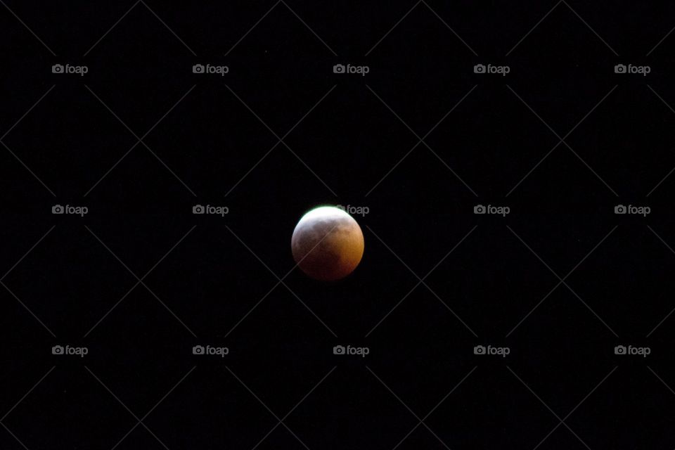 Blood Moon 