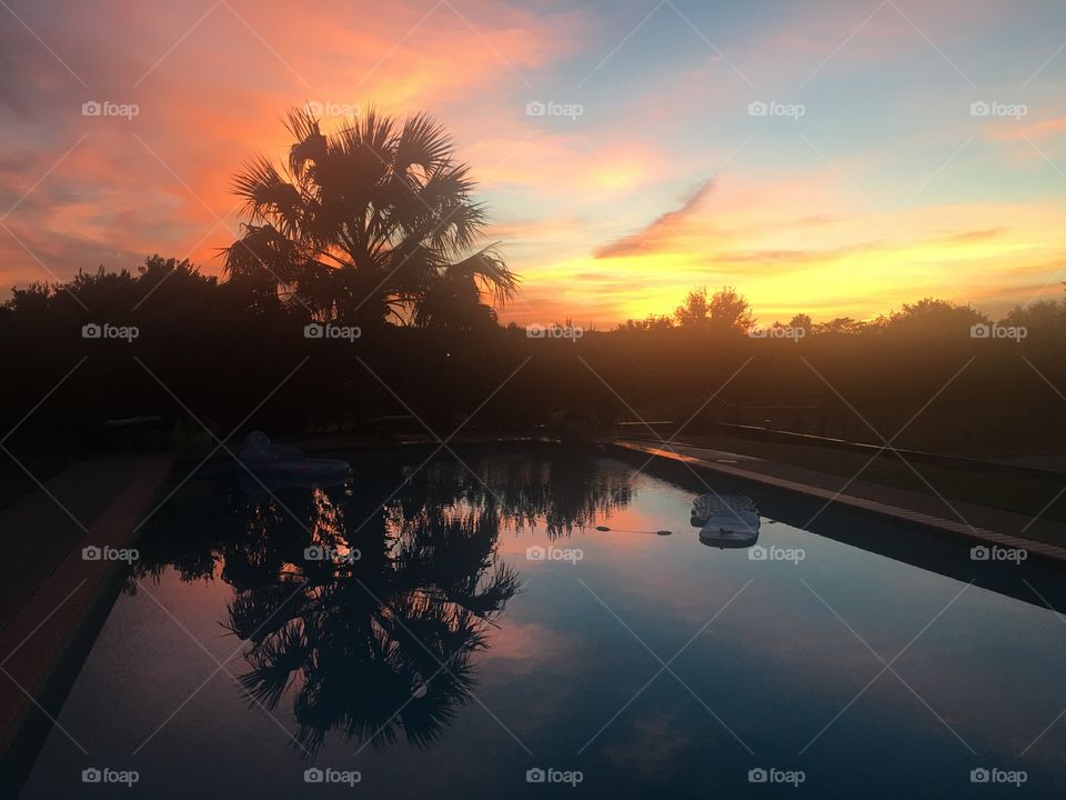 Red, yellow and orange sunset with pool and palm tree 