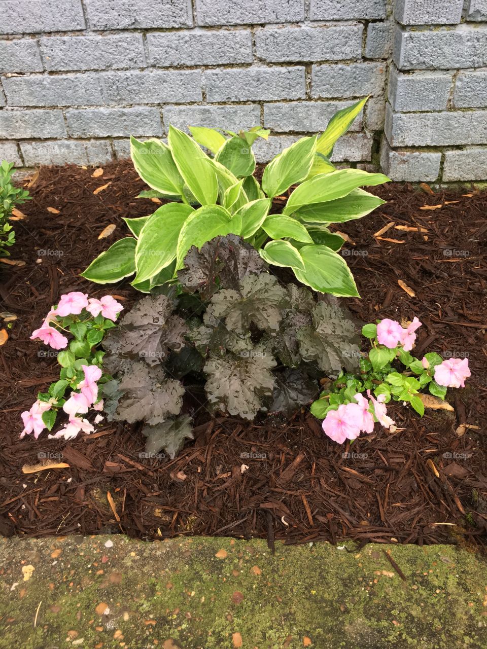 Garden arrangement
