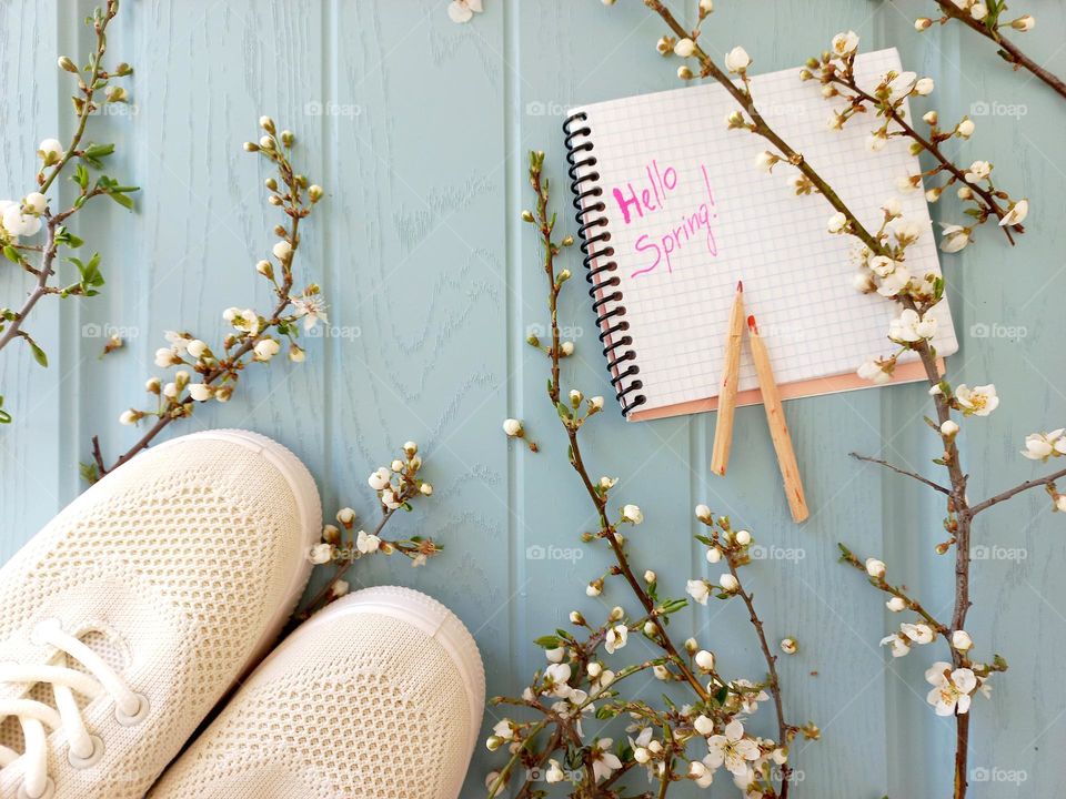 branches of flowering trees, a notebook, pencils and sneakers on a blue board!