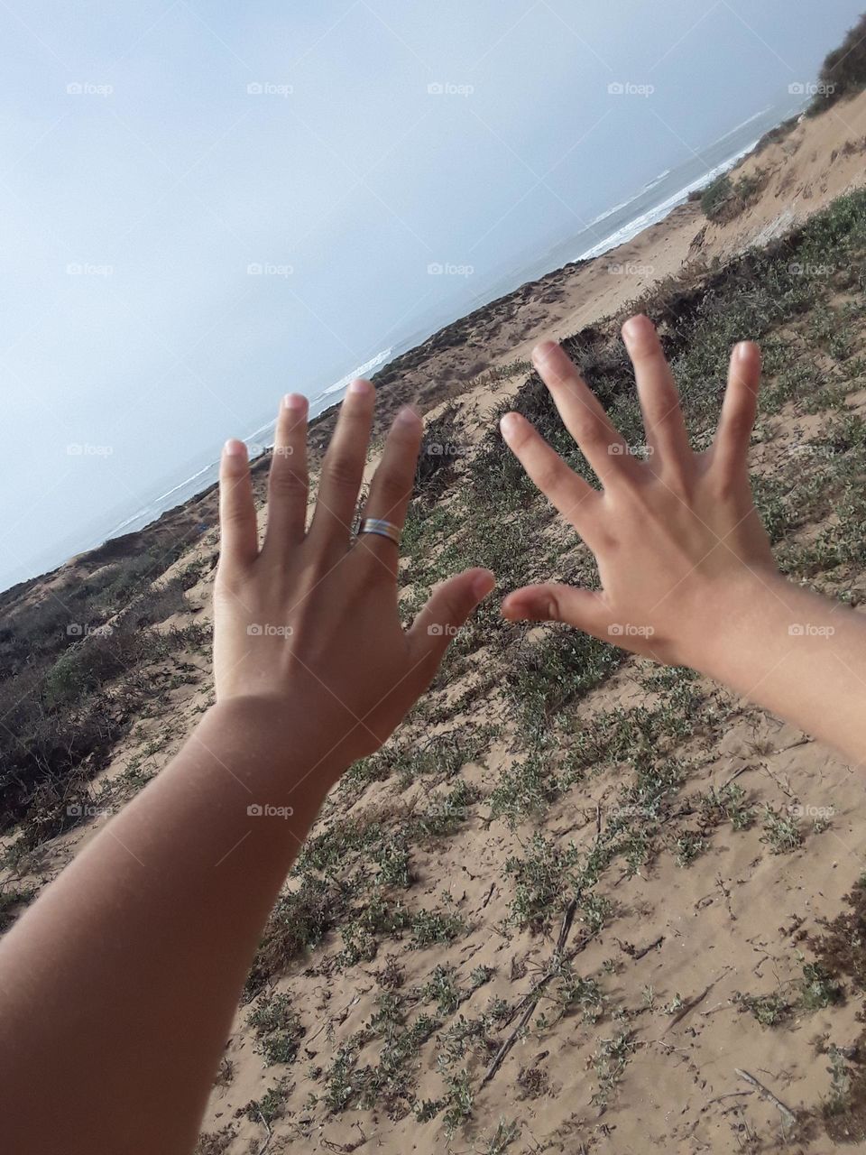 Two hands embraces the nature.