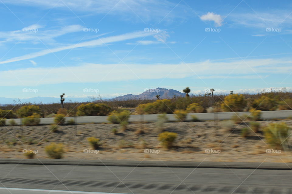 Landscape, Tree, Road, Sky, Travel