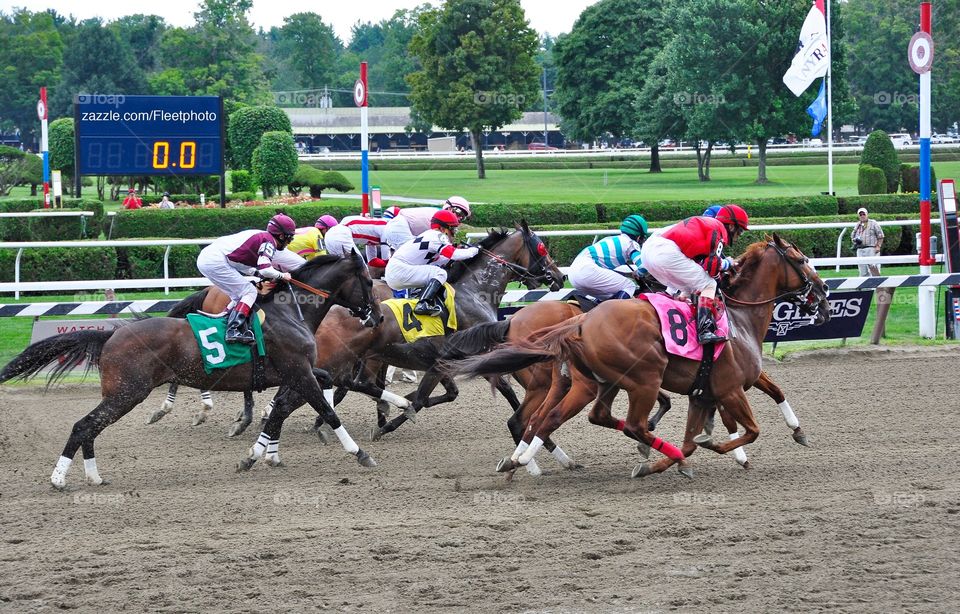 They're off at Saratoga!. Opening day At Saratoga and the horses break from the starting gate. 
Zazzle.com/Fleetphoto 