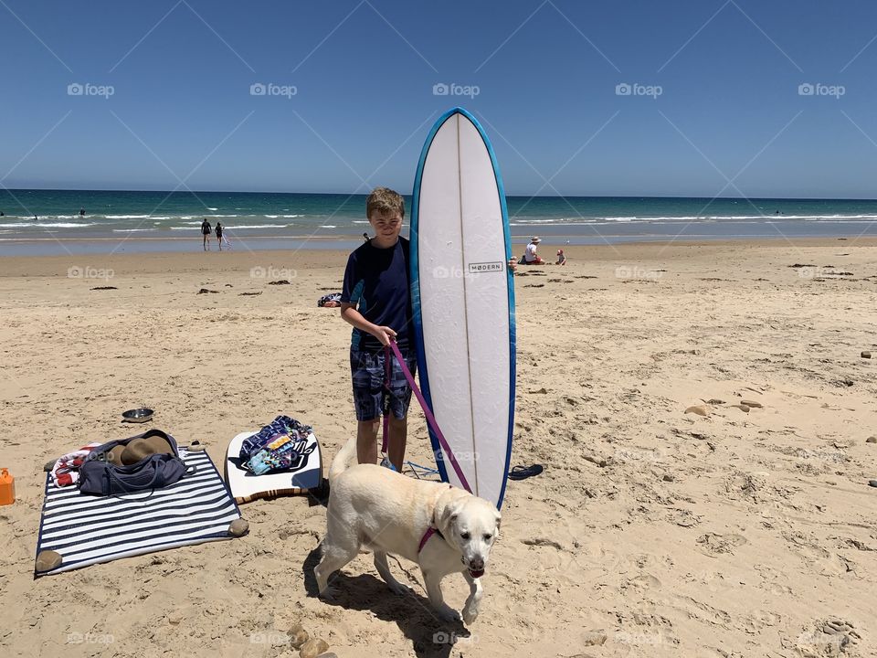 Surfing with dogs