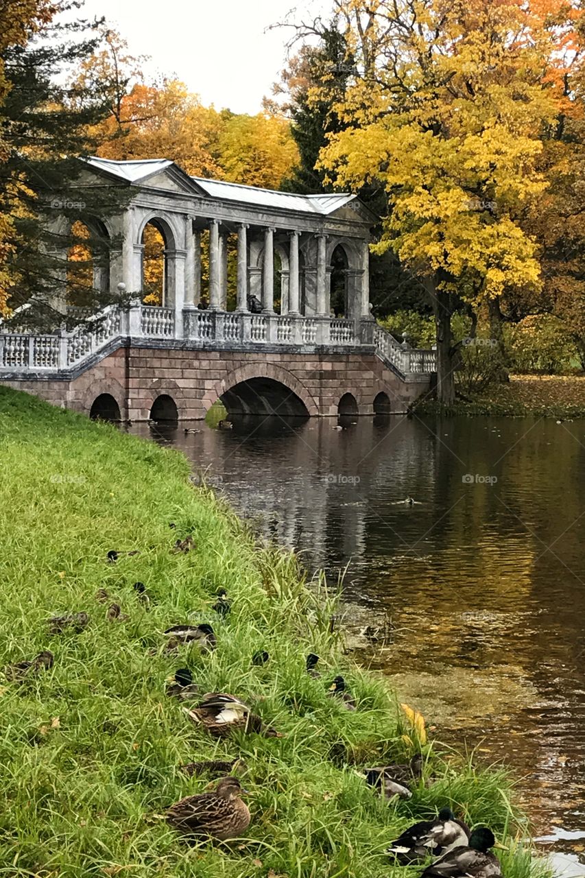 Autumn marble bridge in the park, Pushkin, Russia