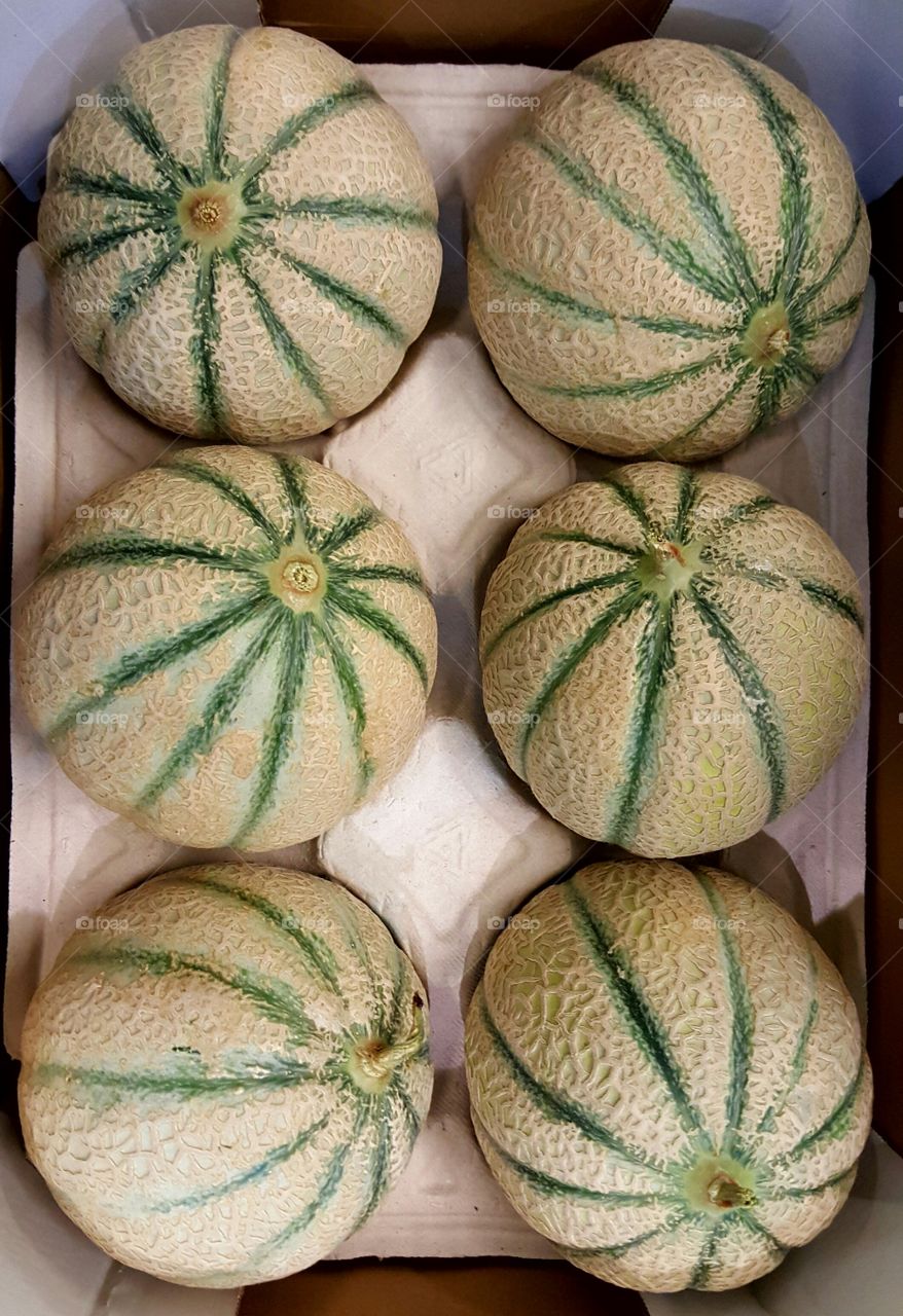 Cantaloupe melons