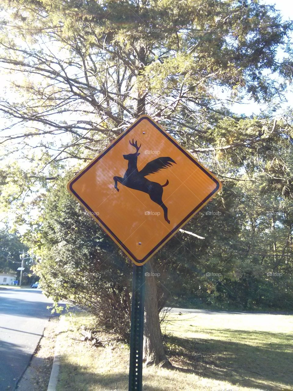 Beware the Jersey Devil road sign