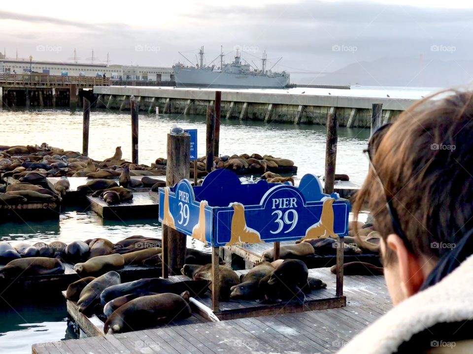 Pier 39