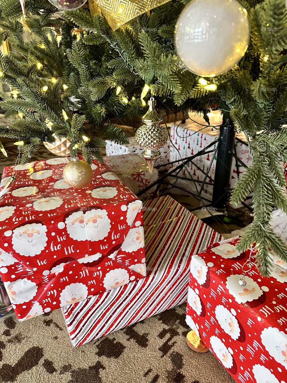 Gifts under a tree