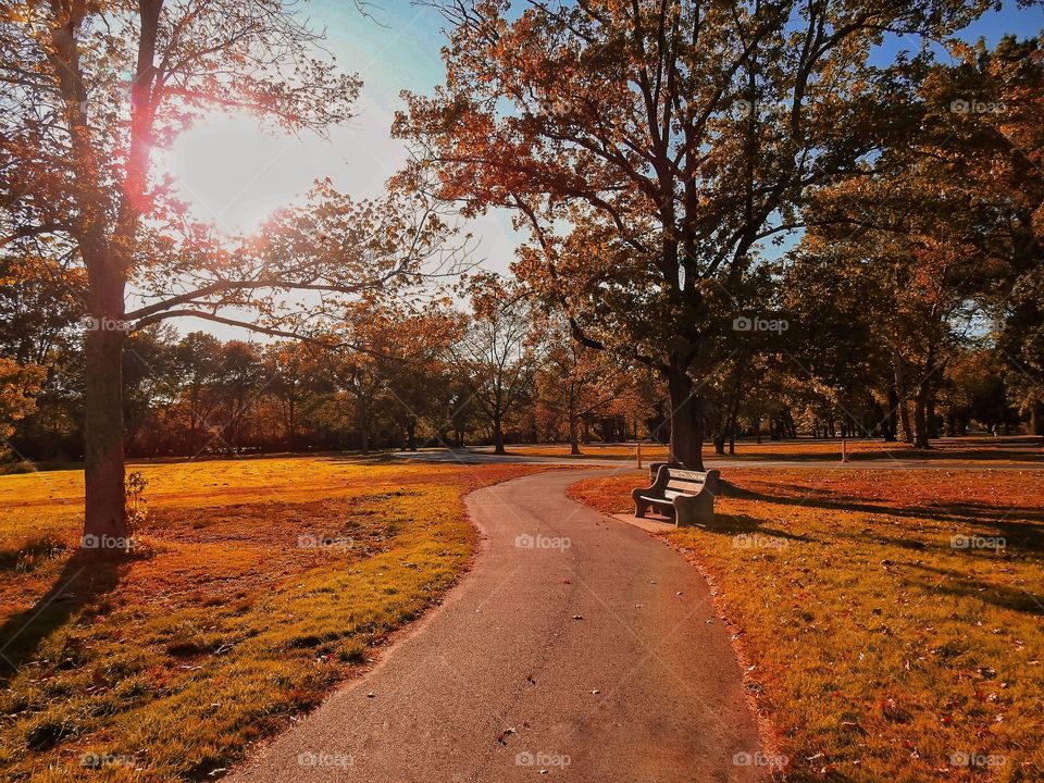 Twilight At The Park