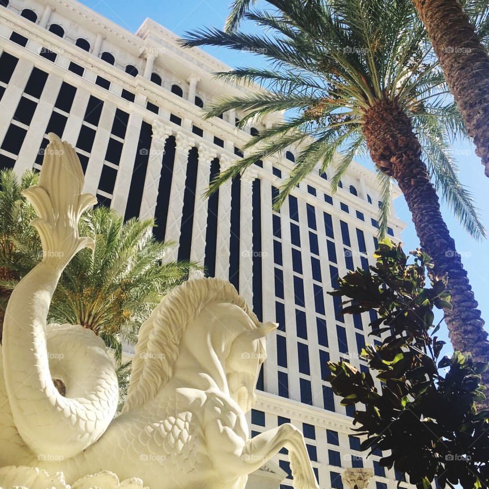 Las Vegas hotel! 