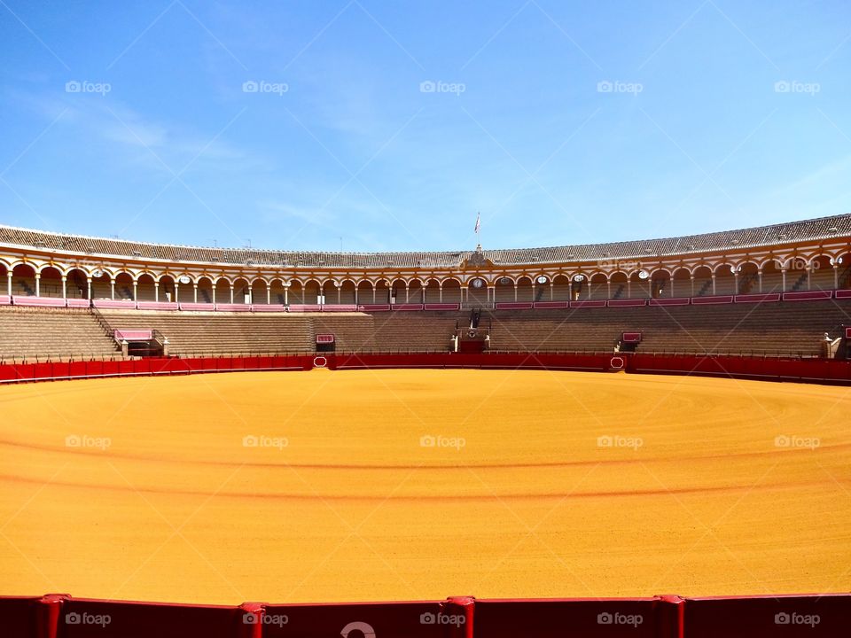 Bull fight in Sevilla, Spain