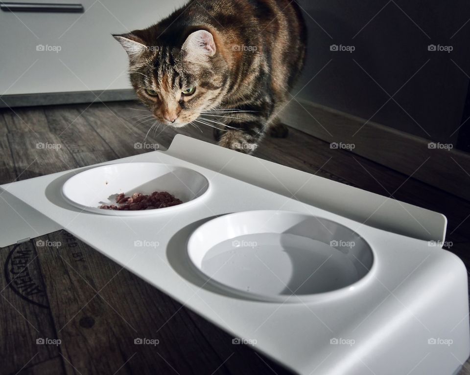 LucyBalu Duo Dining Station