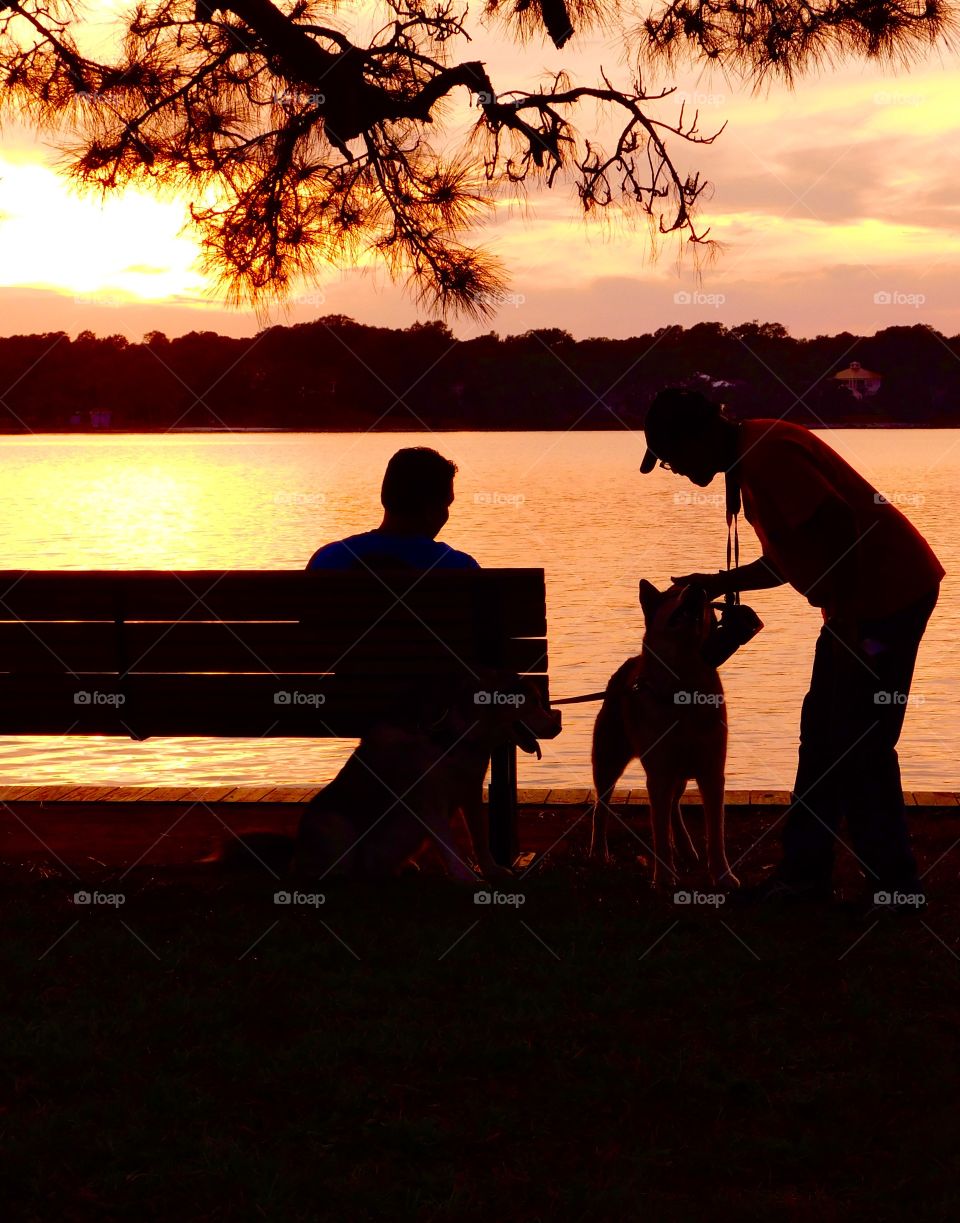 Amazing silhouette of a man and his best friend
