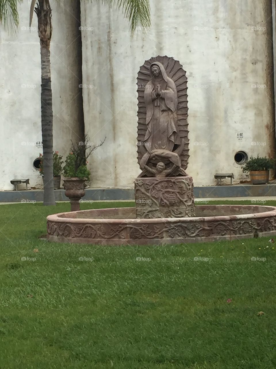 virgin of guadalupe in Ensenada vineyard