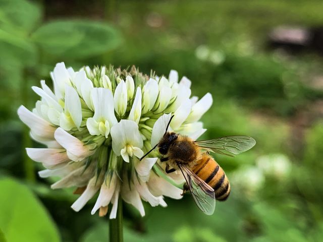 Buzz by 