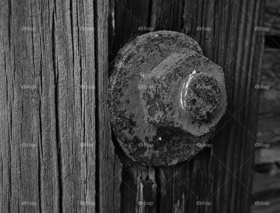 Old rusty bolt in wooden wall