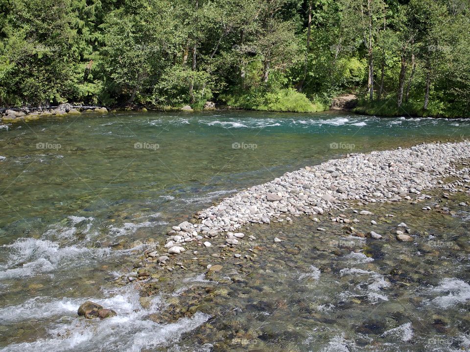 The beautiful waters of the McKenzie River rush along its lush green banks in the Willamette National Forest in Western Oregon on a sunny summer day. 