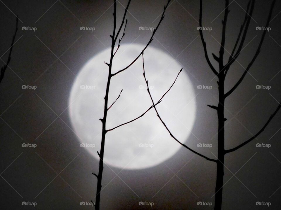spooky moon