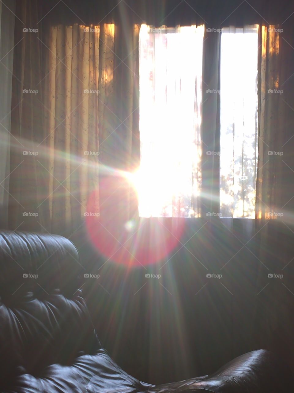 Dawn, Light, Sun, No Person, Fog