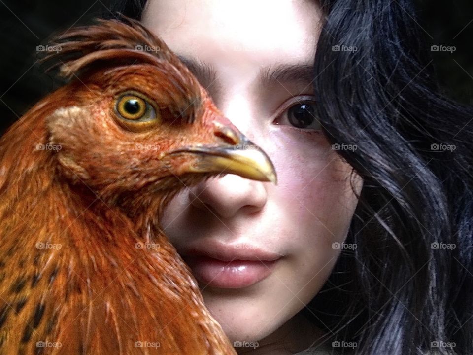 Beautiful hen 