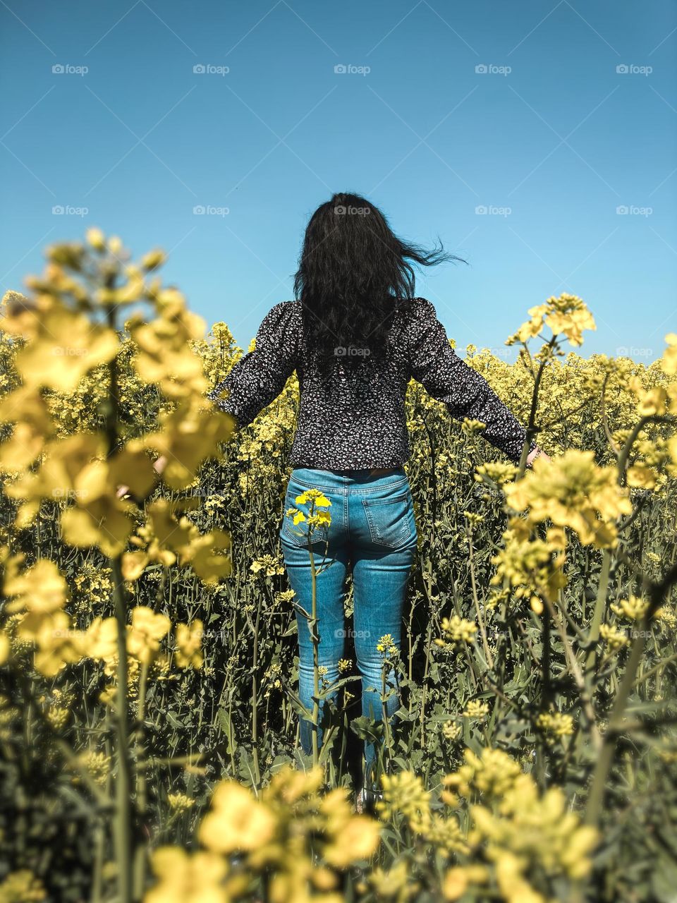 In the middle of a blooming canola field 