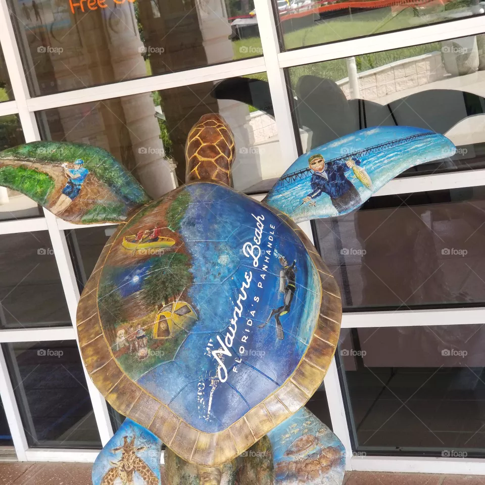 Panama Beach Turtle