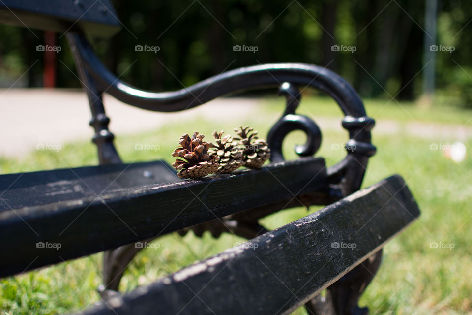 Pine cones on iron bench