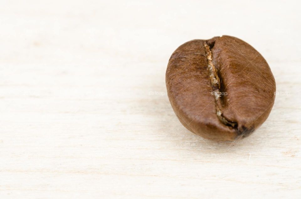 small coffee seed