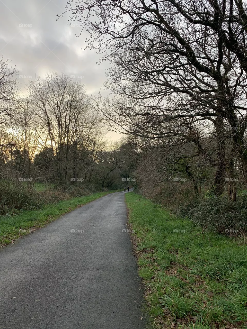 Walking 