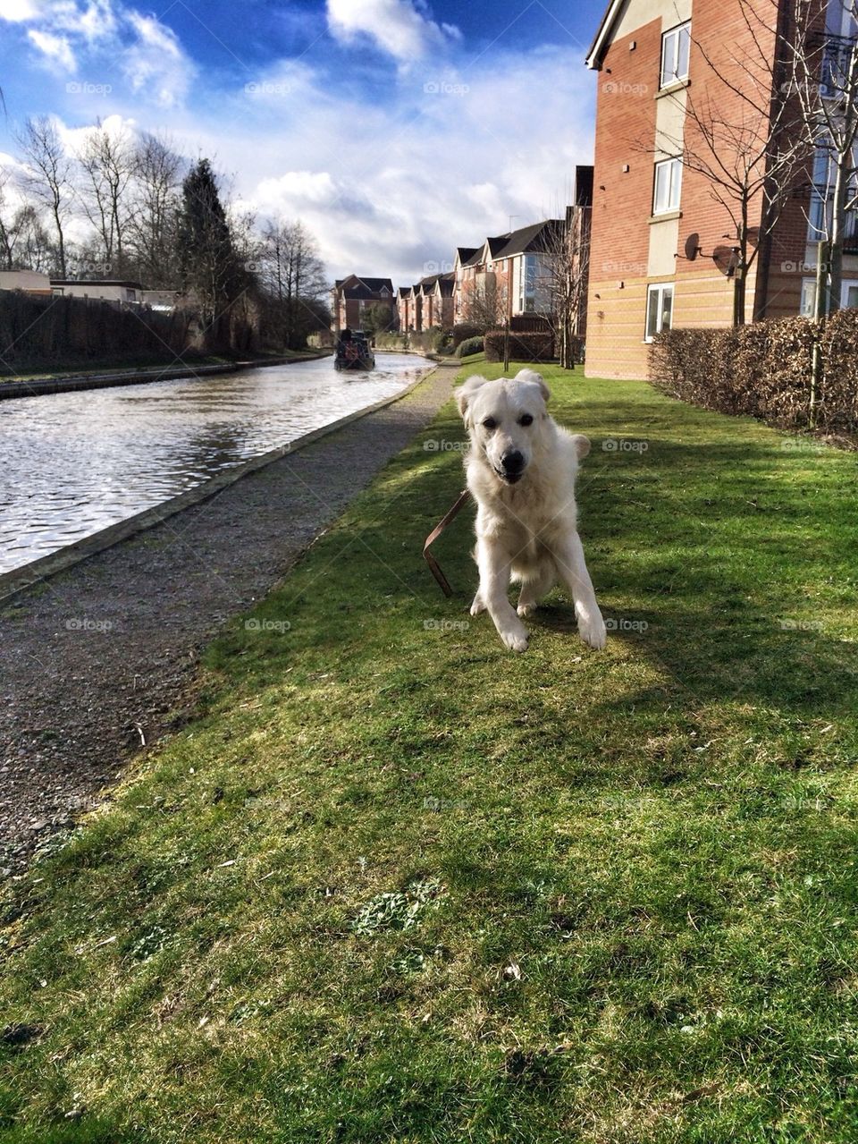 Zoe running away from the big scary boat!