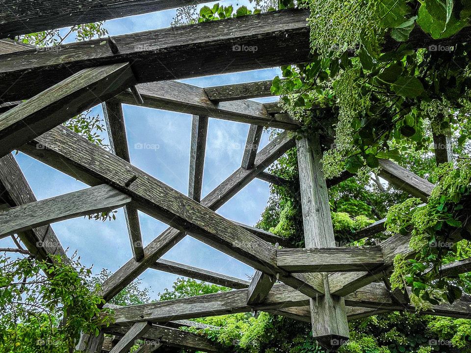 “Trellis.”  Wood beams crisscross the cloudy sky and provide a support for climbing plants.