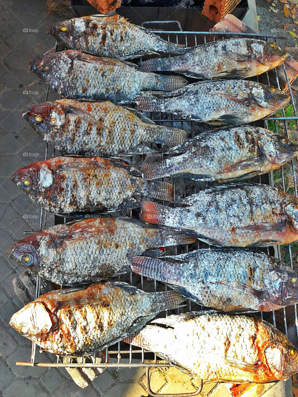 grill fish local style Thailand