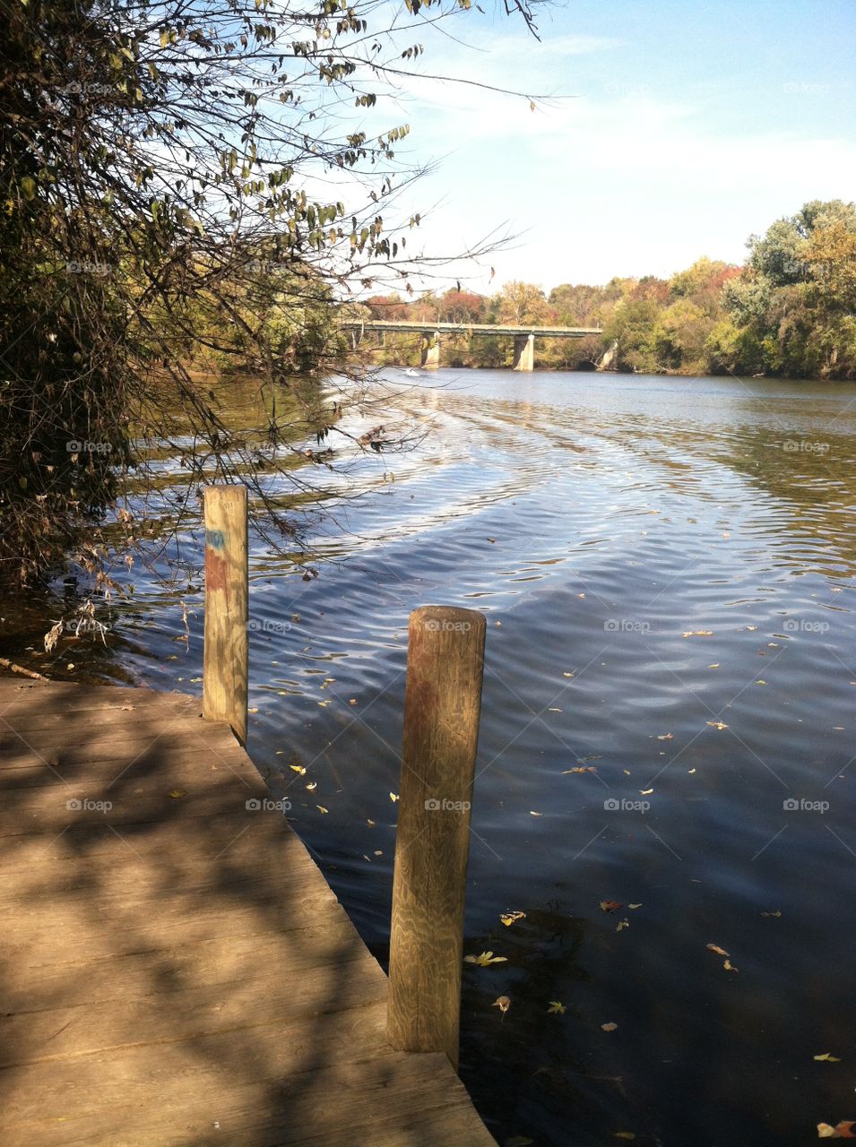 Ripples create design after boat departs