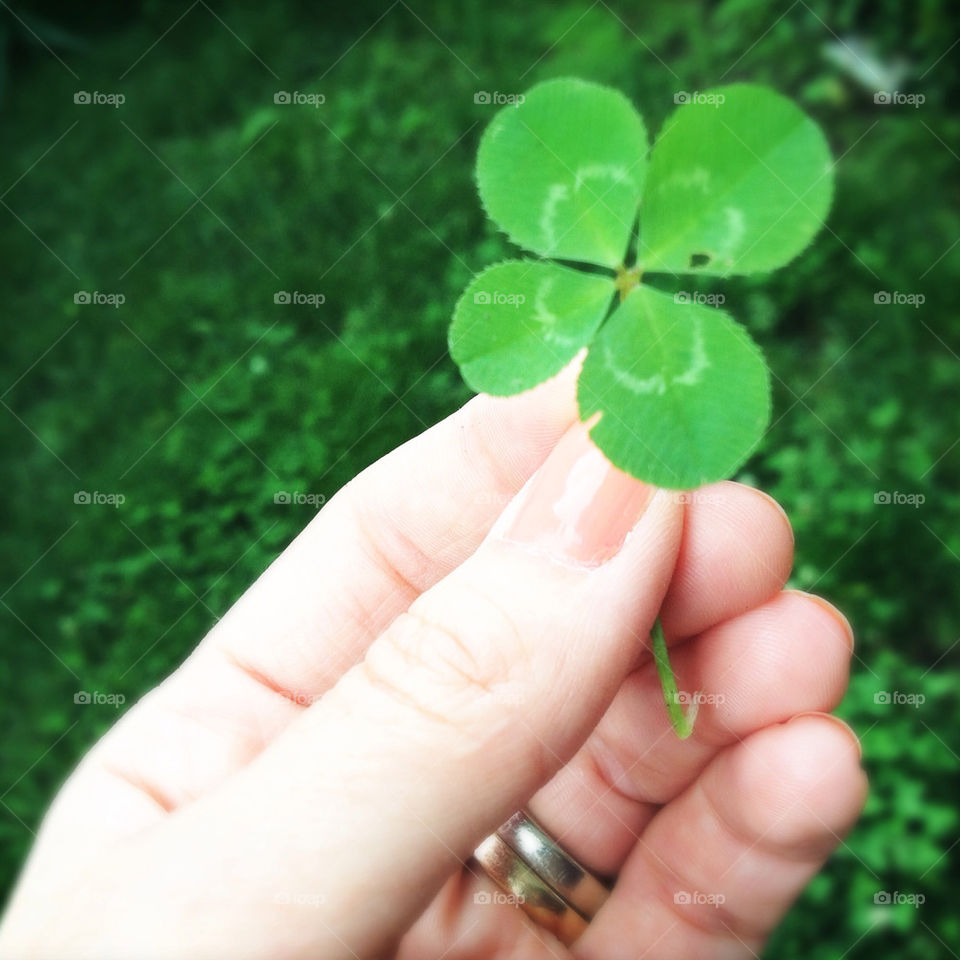 green hand clover lucky by wisteriax