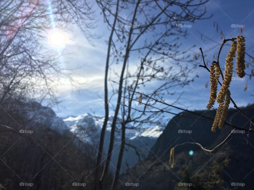 At the end of the Trail