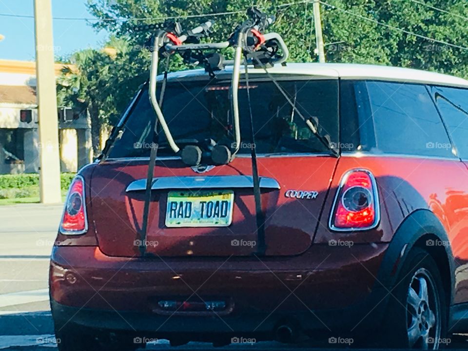 Unique Florida license plate collection RAD TOAD