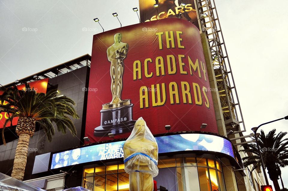 The Academy Awards broadcast live from Hollywood California.