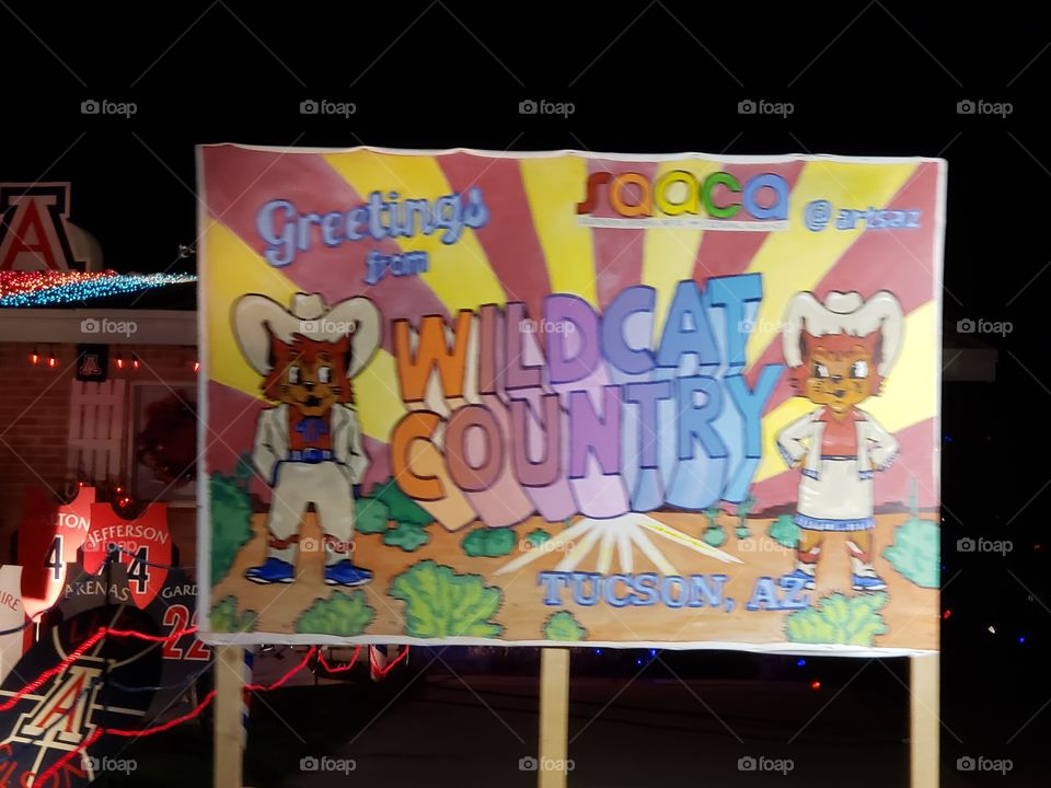 University of Arizona Go wildcats