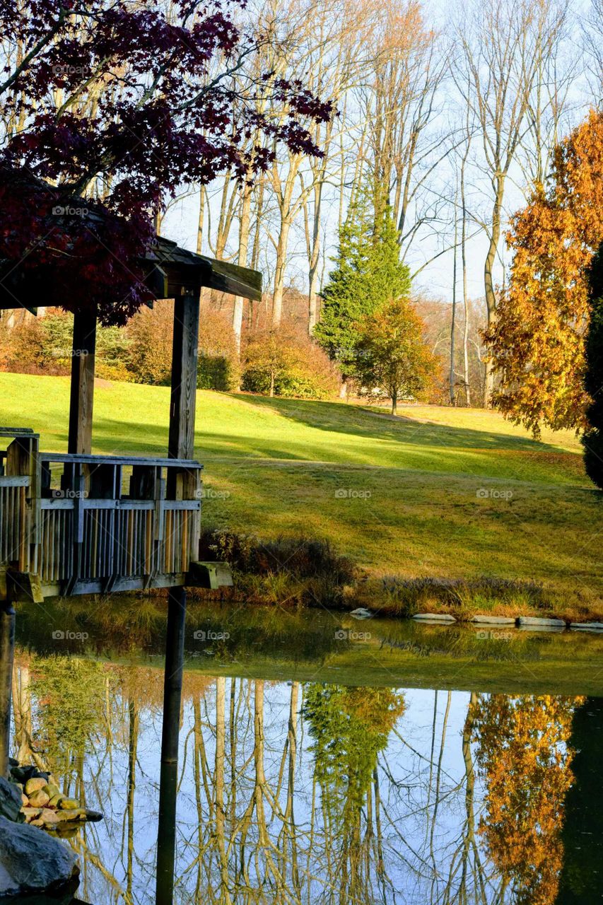 Park in Autumn