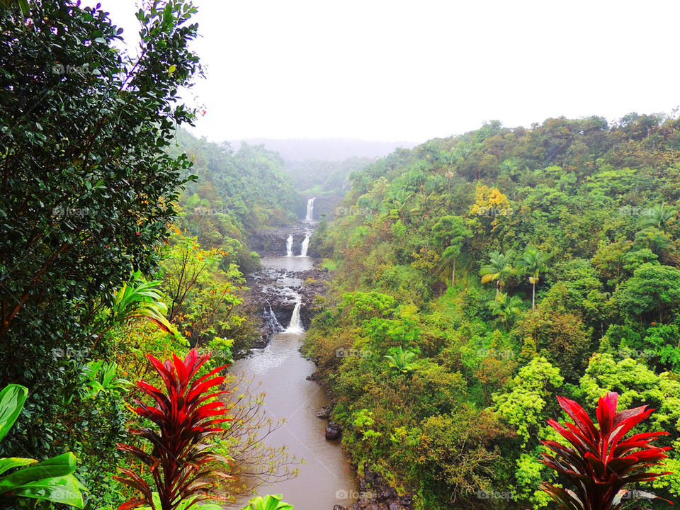 Another hawaiin hike! Came across a river in the rainforest! Rate