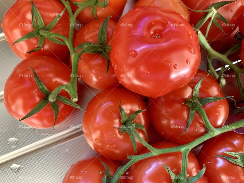 Red Tomatoes 