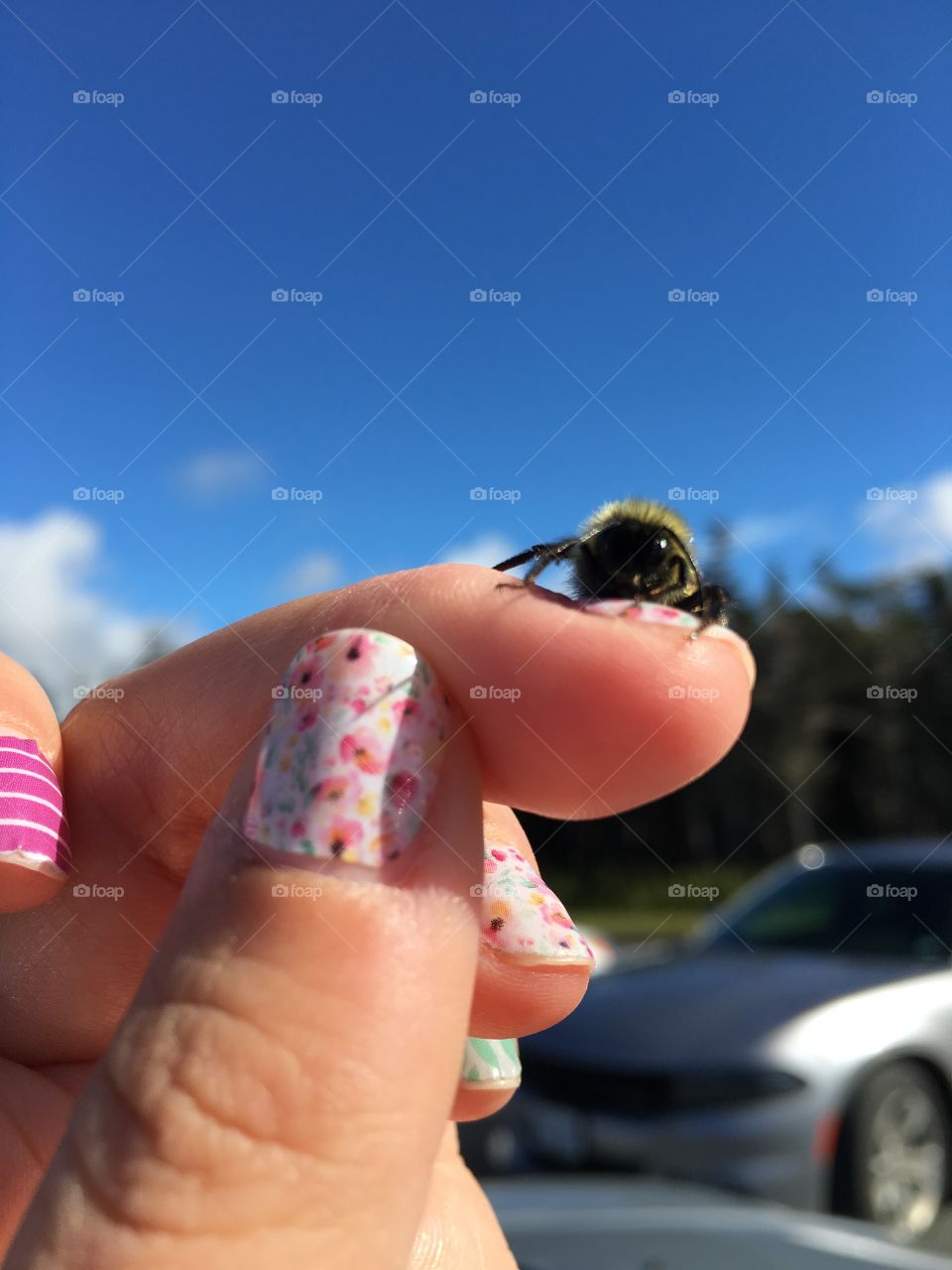 Holding a bee on my finger