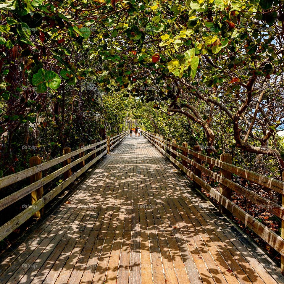 boardwalk in Miami Beach Fla