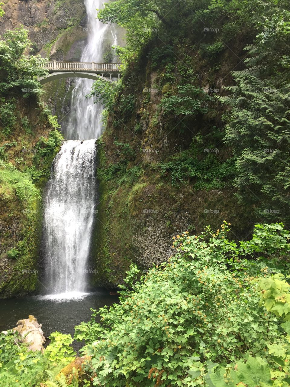 and into the pool the falls fall